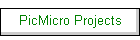 PicMicro Projects